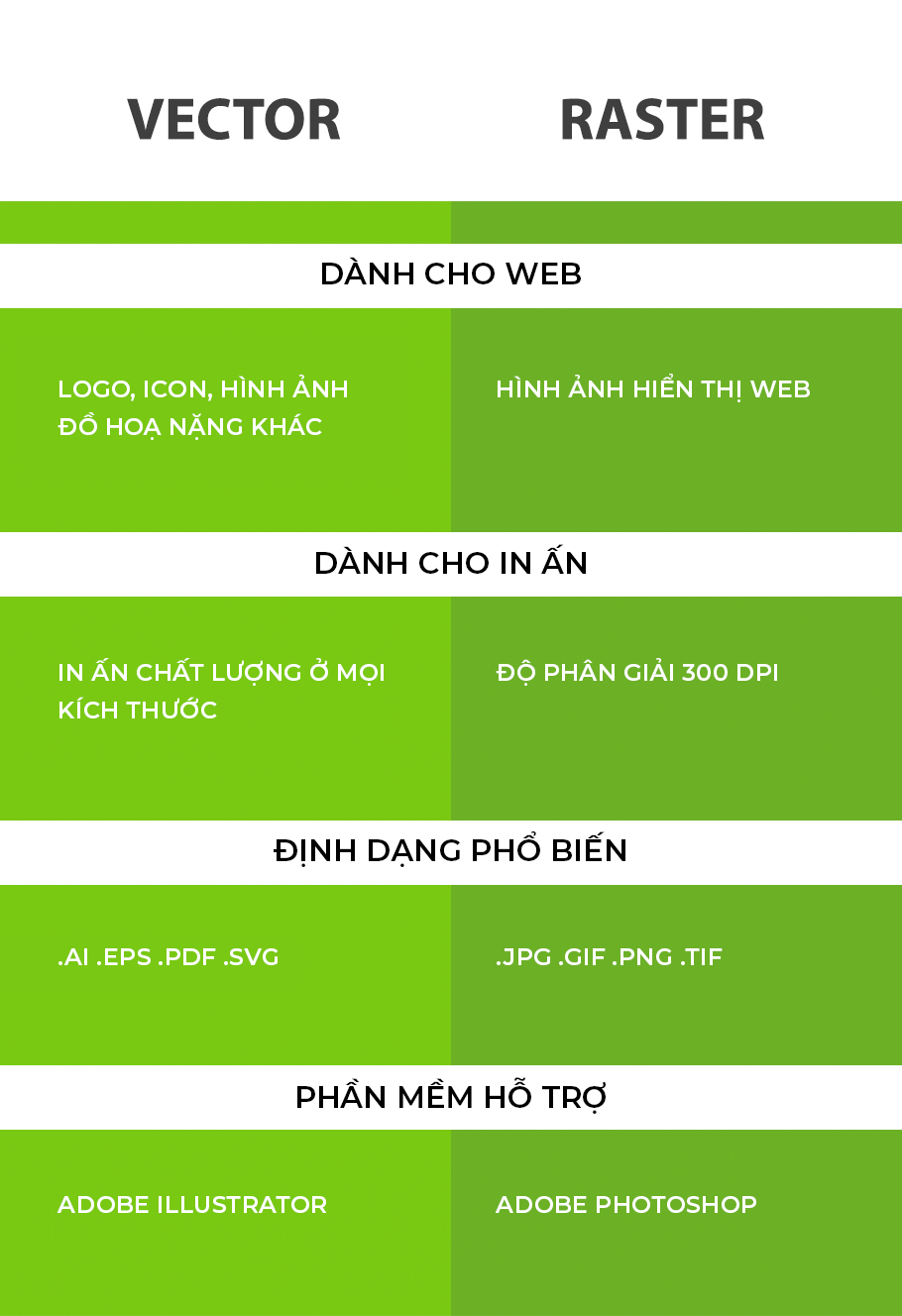 Ảnh raster là gì-3